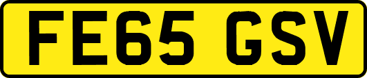 FE65GSV