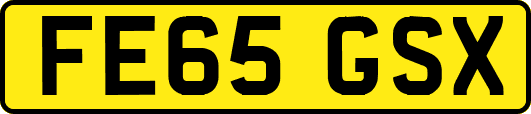 FE65GSX