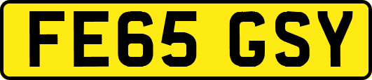 FE65GSY