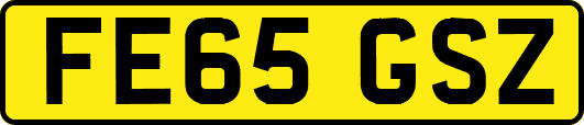 FE65GSZ