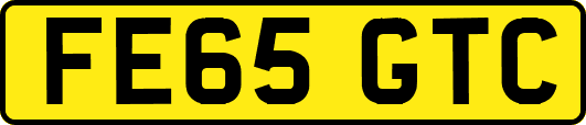 FE65GTC