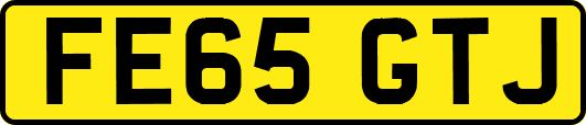 FE65GTJ