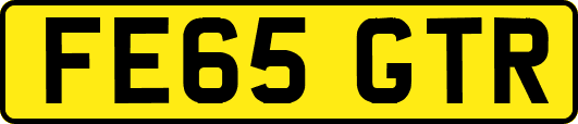 FE65GTR