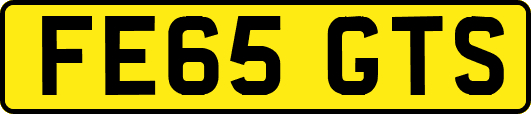 FE65GTS