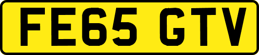 FE65GTV