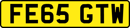 FE65GTW