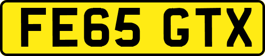 FE65GTX