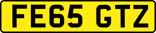 FE65GTZ