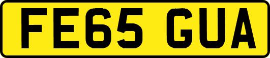 FE65GUA