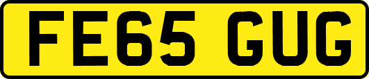 FE65GUG