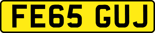 FE65GUJ