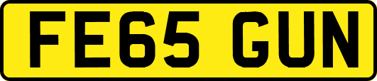 FE65GUN