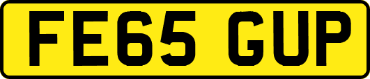 FE65GUP