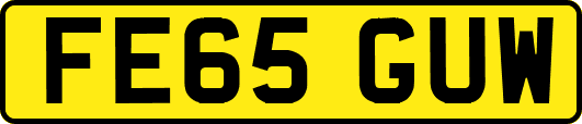 FE65GUW
