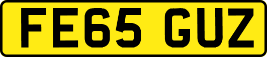 FE65GUZ