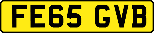 FE65GVB