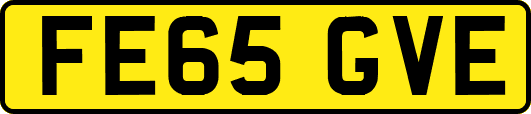 FE65GVE