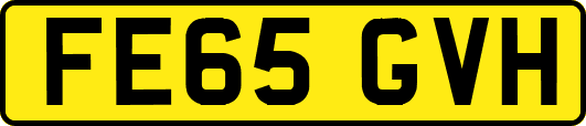 FE65GVH