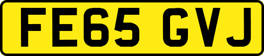 FE65GVJ