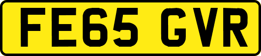 FE65GVR