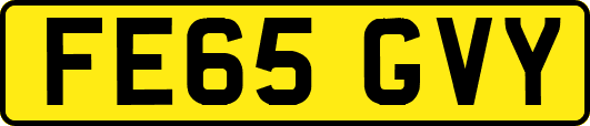 FE65GVY