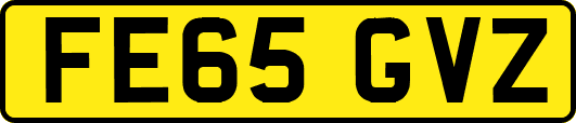 FE65GVZ