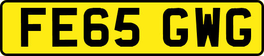 FE65GWG