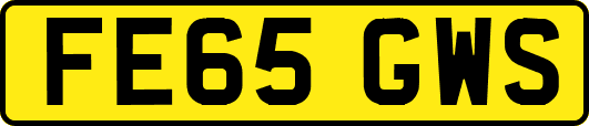 FE65GWS