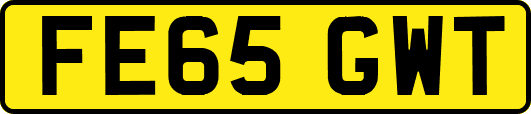 FE65GWT