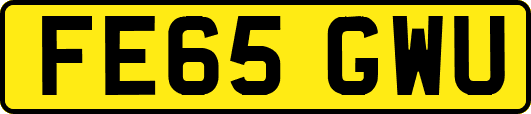 FE65GWU
