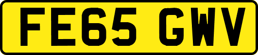 FE65GWV