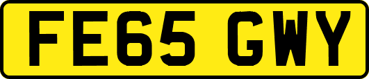 FE65GWY