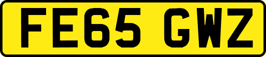 FE65GWZ
