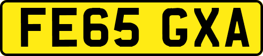 FE65GXA