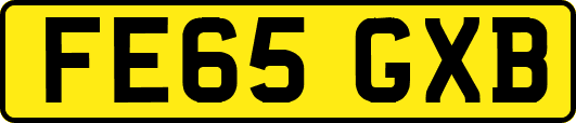 FE65GXB
