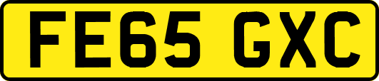 FE65GXC