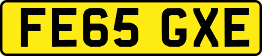 FE65GXE