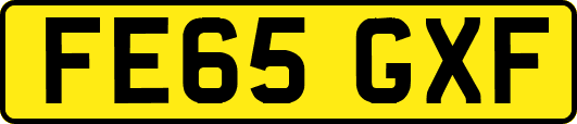FE65GXF