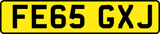 FE65GXJ