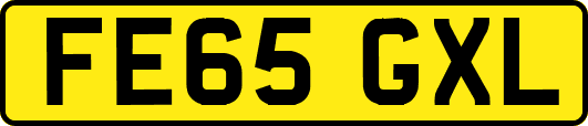 FE65GXL