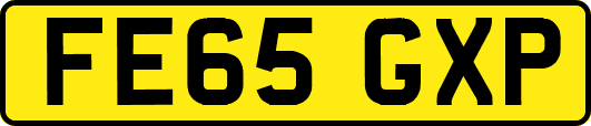 FE65GXP