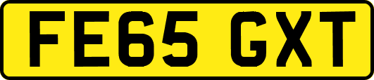 FE65GXT