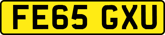 FE65GXU
