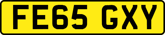 FE65GXY