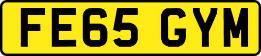 FE65GYM