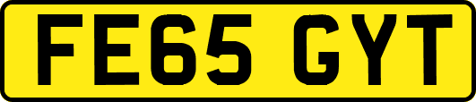 FE65GYT