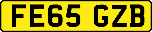 FE65GZB