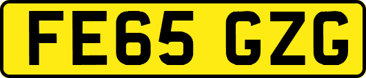 FE65GZG