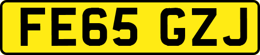 FE65GZJ