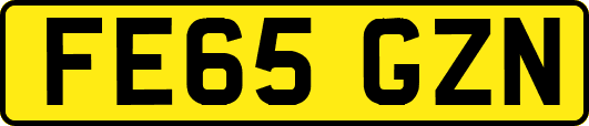 FE65GZN